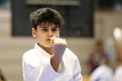 2024, Lions Cup, Lustenau, Kata, Österreich, Devrim Yildirim, Shukokai Dojo Wetzikon