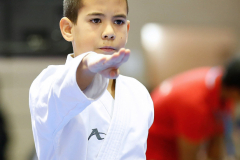 2024, Lions Cup, Lustenau, Kata, Österreich, Colin McGuinness, Shukokai Dojo Wetzikon