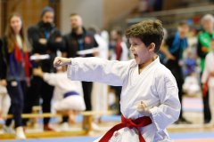 2024, Lions Cup, Lustenau, Kata, Österreich, Arian Ajvazi, Shukokai Dojo Wetzikon