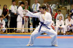 2023, Lions Cup, Lustenau, Kata, Dennis Alber, Österreich, Shukokai Dojo Wetzikon