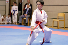 2023, Lions Cup, Lustenau, Kata, Ron Nyffenegger, Österreich, Shukokai Dojo Wetzikon