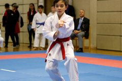 2023, Lions Cup, Lustenau, Kata, Noah Maurer, Österreich, Shukokai Dojo Wetzikon