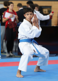 Kata, Schweiz, Swiss Karate League, 2025, Gossau, Züri Oberland, Noah Maurer, Shukokai Dojo Wetzikon