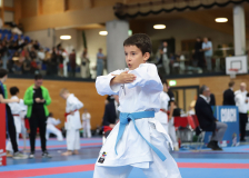 Kata, Schweiz, Swiss Karate League, 2025, Gossau, Züri Oberland, Arda Oner, Karateschule Wauwil