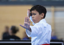 Kata, Schweiz, Swiss Karate League, 2025, Gossau, Züri Oberland, Colin McGuinness, Shukokai Dojo Wetzikon