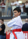 Kata, Schweiz, Swiss Karate League, 2025, Gossau, Züri Oberland, Colin McGuinness, Shukokai Dojo Wetzikon