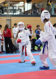 Kumite, Schweiz, Swiss Karate League, 2025, Gossau, Züri Oberland, Ellie Keller, Shukokai Dojo Wetzikon, Suela Nikolla, Hayabusa Karate Do Basel