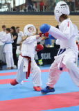 Kumite, Schweiz, Swiss Karate League, 2025, Gossau, Züri Oberland, Ellie Keller, Shukokai Dojo Wetzikon, Suela Nikolla, Hayabusa Karate Do Basel
