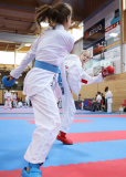 Kumite, Schweiz, Swiss Karate League, 2025, Gossau, Züri Oberland, Anamarie Anicic, Shukokai Dojo Wetzikon