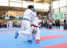 Kumite, Schweiz, Swiss Karate League, 2025, Gossau, Züri Oberland, Tobias Riedel, Shukokai Dojo Wetzikon