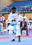 Kata, Schweiz, Swiss Karate League, 2025, Gossau, Züri Oberland, Shukokai Dojo Wetzikon, Peraveen Raveendran