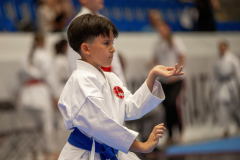 2026,SKL,Saalsporthalle,Swiss Karate League,Zürich,Edgar Cosse,Hayabusa Karate Do Basel,Kata