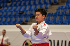 2026,SKL,Saalsporthalle,Swiss Karate League,Zürich,Kata,Ryu Vogler,Karate Akademie Zürich