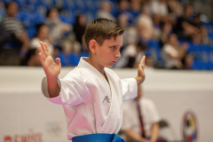 2026,SKL,Saalsporthalle,Swiss Karate League,Zürich,Kata,Shukokai Dojo Wetzikon-Volketswil-Winterthur,Andrei Negara