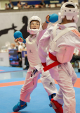 2026,SKL,Saalsporthalle,Swiss Karate League,Zürich,Kumite,Leo Roos,Karateschule Sursee