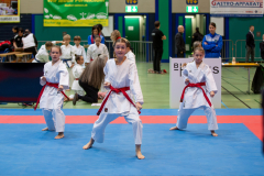 Kata, Schweiz, Schweizermeisterschaft, Sursee, 2025, Championnat Suisse, Swiss Championship, Switzerland, Karatedo Lyss-Aarberg
