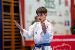 Kata, Schweiz, Schweizermeisterschaft, Sursee, 2025, Championnat Suisse, Swiss Championship, Switzerland, Ivan Kristic, Nippon Training Urdorf / Dietikon