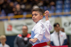 Kata, Schweiz, Schweizermeisterschaft, Sursee, 2025, Championnat Suisse, Swiss Championship, Switzerland, Sevan Barsoumian, Ippon Karaté Club Tivoli Genève