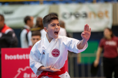 Kata, Schweiz, Schweizermeisterschaft, Sursee, 2025, Championnat Suisse, Swiss Championship, Switzerland, Sevan Barsoumian, Ippon Karaté Club Tivoli Genève