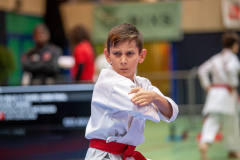 Shukokai Dojo Wetzikon, Kata, Schweiz, Schweizermeisterschaft, Sursee, 2025, Championnat Suisse, Swiss Championship, Switzerland, Andrei Negara