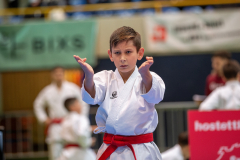 Shukokai Dojo Wetzikon, Kata, Schweiz, Schweizermeisterschaft, Sursee, 2025, Championnat Suisse, Swiss Championship, Switzerland, Andrei Negara
