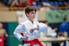 Kata, Schweiz, Schweizermeisterschaft, Sursee, 2025, Championnat Suisse, Swiss Championship, Switzerland, Ilija Radosavljevic, Nippon Training Urdorf / Dietikon