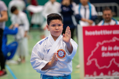 Kata, Schweiz, Schweizermeisterschaft, Sursee, 2025, Championnat Suisse, Swiss Championship, Switzerland, Karate Akademie Zürich, Ryu Vogler