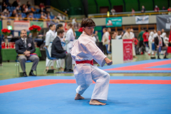 Shukokai Dojo Wetzikon, Kata, Schweiz, Schweizermeisterschaft, Sursee, 2025, Championnat Suisse, Swiss Championship, Switzerland, Noah Maurer