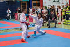 Shukokai Dojo Wetzikon, Kumite, Schweiz, Schweizermeisterschaft, Sursee, 2025, Championnat Suisse, Swiss Championship, Switzerland, Karl Ravas