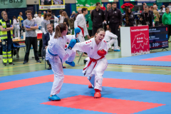 Shukokai Dojo Wetzikon, Kumite, Schweiz, Schweizermeisterschaft, Sursee, 2025, Championnat Suisse, Swiss Championship, Switzerland, Lenya Lawrenz