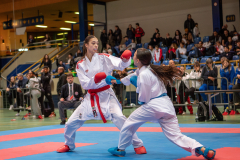 Shukokai Dojo Wetzikon, Kumite, Schweiz, Schweizermeisterschaft, Sursee, 2025, Championnat Suisse, Swiss Championship, Switzerland, Luna Molitor