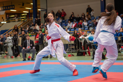 Shukokai Dojo Wetzikon, Kumite, Schweiz, Schweizermeisterschaft, Sursee, 2025, Championnat Suisse, Swiss Championship, Switzerland, Luna Molitor
