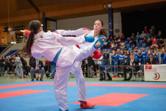 Shukokai Dojo Wetzikon, Kumite, Schweiz, Schweizermeisterschaft, Sursee, 2025, Championnat Suisse, Swiss Championship, Switzerland, Luna Molitor