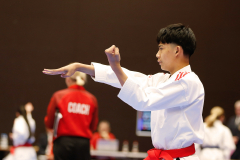 2024, Swiss International Junior Open, Basel, Schweiz, Kata, Karl Ravas, Shukokai Dojo Wetzikon