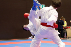 2024, Swiss International Junior Open, Basel, Schweiz, Kumite, Iven Krummenacker, Benedek Varga, Shukokai Dojo Wetzikon, DMTK HUN