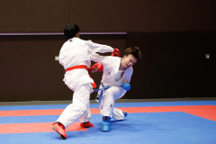 2024, Swiss International Junior Open, Basel, Schweiz, Kumite, Januyan Logeswaran, Shukokai Dojo Wetzikon