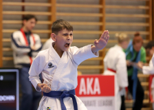 2025, Swiss Karate League, Bonstetten, Schweiz, Kata, Shukokai Dojo Wetzikon, Andrei Negara