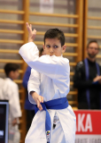 2025, Swiss Karate League, Bonstetten, Schweiz, Kata, Shukokai Dojo Wetzikon, Colin McGuinness