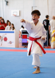 2025, Swiss Karate League, Burgdorf, Schweiz, Kata, Arian Ajvazi, Shukokai Dojo Wetzikon