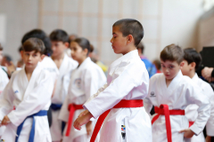 2024, Swiss Karate League, Burgdorf, Schweiz, Kata, Colin McGuinness, Shukokai Dojo Wetzikon