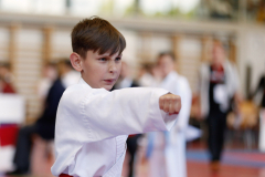2024, Swiss Karate League, Burgdorf, Schweiz, Kata, Andrei Negara, Shukokai Dojo Wetzikon