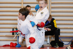 2024, Swiss Karate League, Burgdorf, Schweiz, Kumite, Andy Gonzalez, Kjartan Kühl, Shukokai Dojo Wetzikon, Karatecenter Reto Kern Kreuzlingen