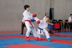 2024, Swiss Karate League, Burgdorf, Schweiz, Kumite, Noah Maurer, Henri Humbert, Shukokai Dojo Wetzikon, Ippon Karaté Club Tivoli Genève