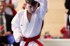 2024, Swiss Karate League, Wettingen, Schweiz, Kata, Andrei Negara, Shukokai Dojo Wetzikon