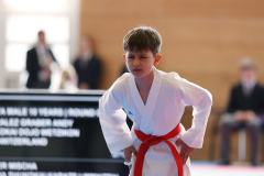 2024, Swiss Karate League, Wettingen, Schweiz, Kata, Andy Gonzalez, Shukokai Dojo Wetzikon