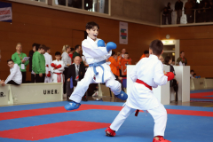 2024, Swiss Karate League, Wettingen, Schweiz, Kumite, Elia Clingo, Andrei Negara, Shukokai Dojo WetzikonKarate Do Brugg