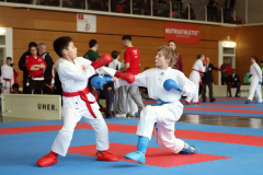 2024, Swiss Karate League, Wettingen, Schweiz, Kumite, Victor Zakowicz, Bilgehan Memetkerim, Shukokai Dojo Wetzikon, Shinsei Kan Lenzburg