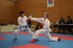 2024, Swiss Karate League, Wettingen, Schweiz, Kumite, Matteo Scagnetti, Iyad Ben Hareez, Shukokai Dojo Wetzikon, Neuchâtel Karaté-do