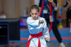 Bonstetten,Kata,Eylina Kanjou,2026,Shukokai Dojo Wetzikon-Volketswil-Winterthur,Zürcher Kantonalmeisterschaft,ZHKM