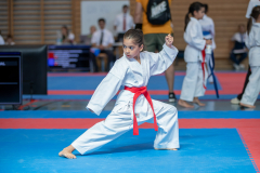 Bonstetten,Kata,Eylina Kanjou,2026,Shukokai Dojo Wetzikon-Volketswil-Winterthur,Zürcher Kantonalmeisterschaft,ZHKM